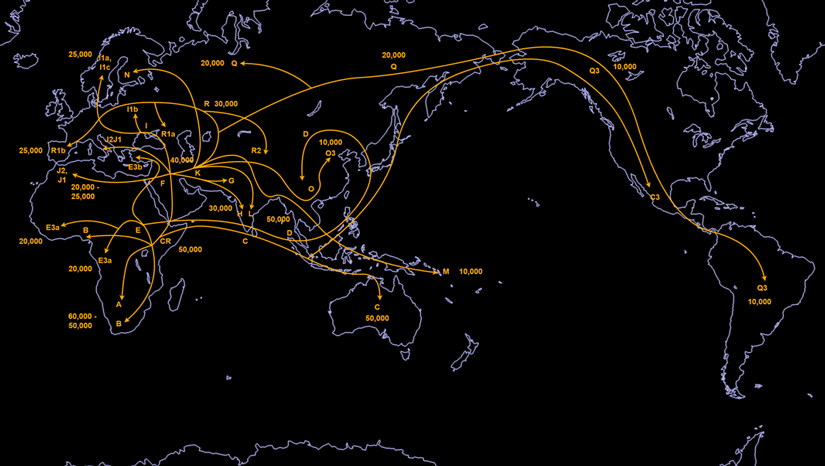 Y-DNA Map